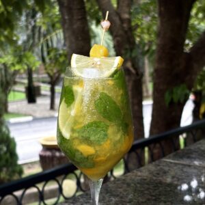 Classic Mango Fruit Mojito